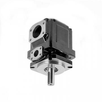 Denison PV10-2R1D-L00 Variable Displacement Piston Pump