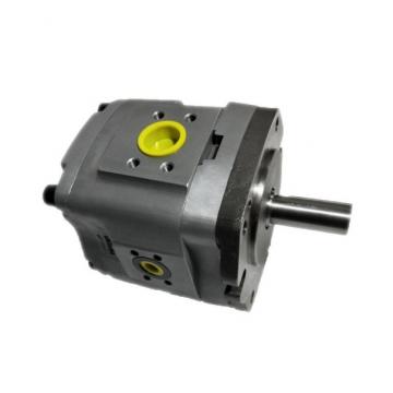 25VQ Positive Displacement Pump for Injection Moulding Machine