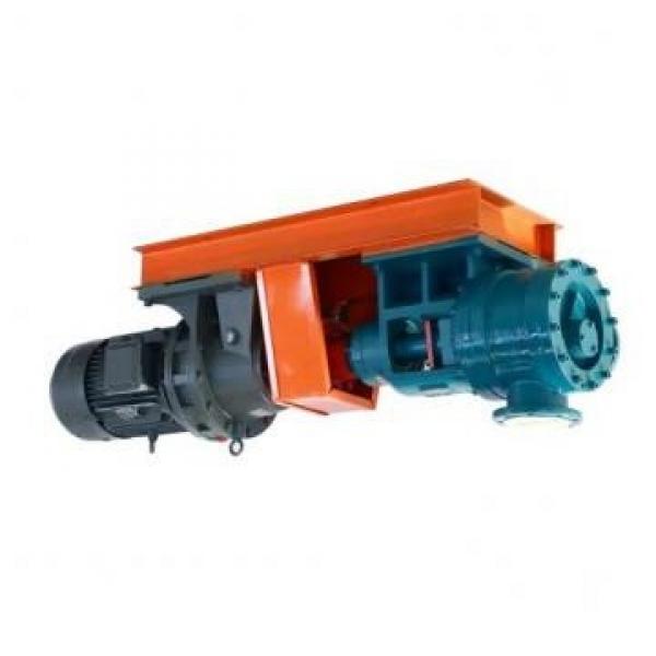 Daikin MFP100/4.3-2-2.2-10 Motor Pump #1 image