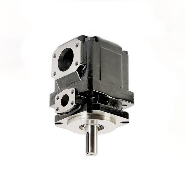Denison PV10-1L1B-L00 Variable Displacement Piston Pump #1 image