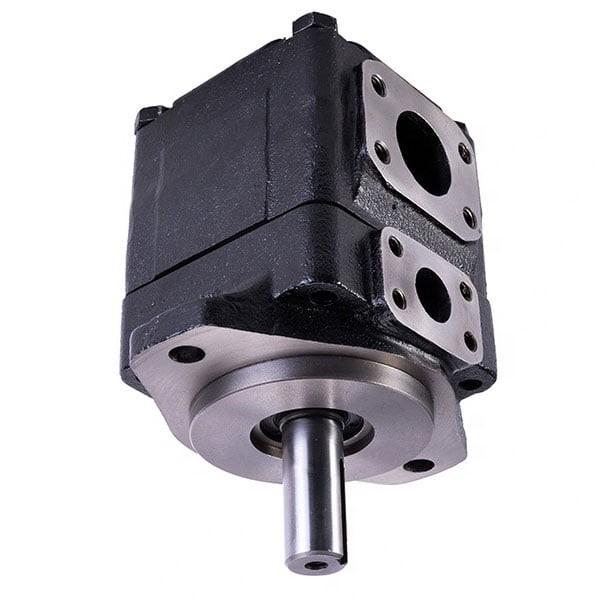Denison PV10-1L1B-L00 Variable Displacement Piston Pump #2 image