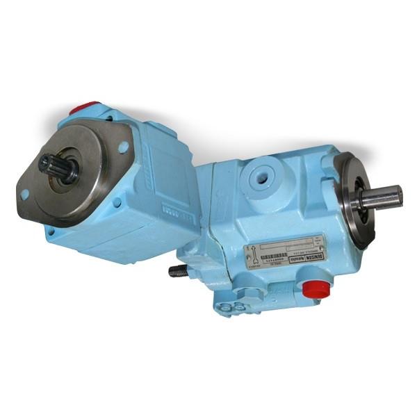 Denison PV10-2L1D-L00 Variable Displacement Piston Pump #1 image