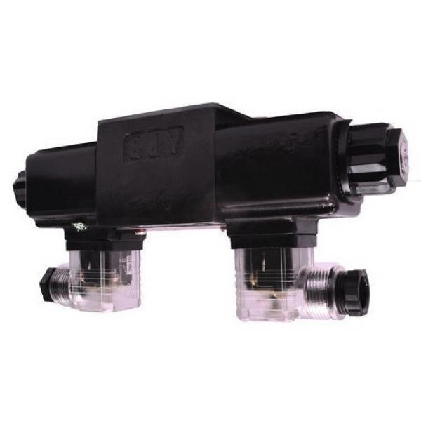 Yuken PV2R12-12-26-L-RAA-40 Double Vane Pumps #1 image