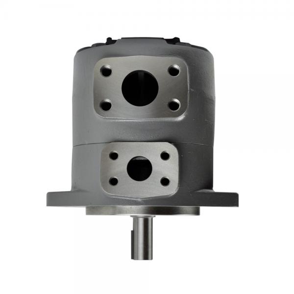 Yuken A56-L-R-01-B-S-K-32 Variable Displacement Piston Pumps #1 image