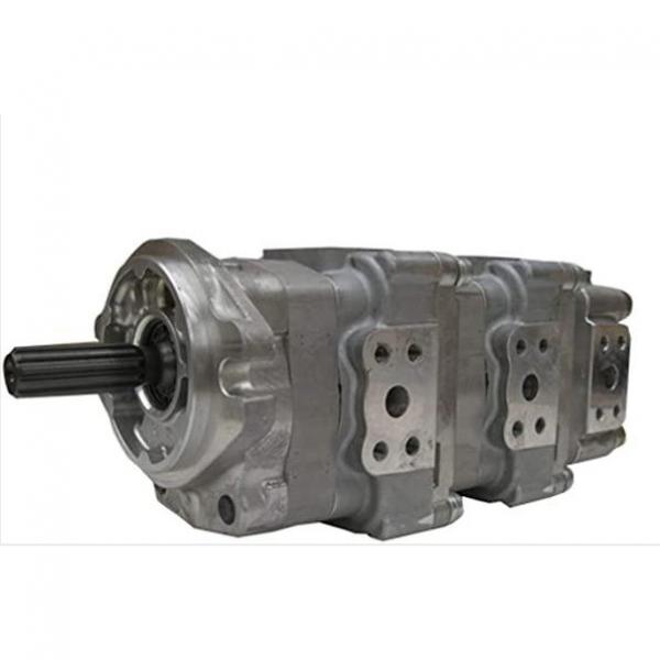 Parker Denison M4C M4SC M4D M4SD M4E M4SE Vane Hydraulic Motor #1 image