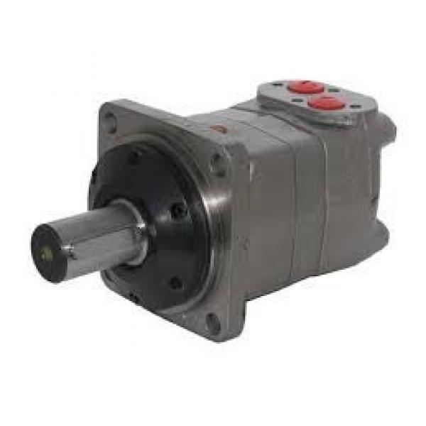 BMT250/OMT250 Hydraulic Orbit Motor For Replacement Charlynn #1 image
