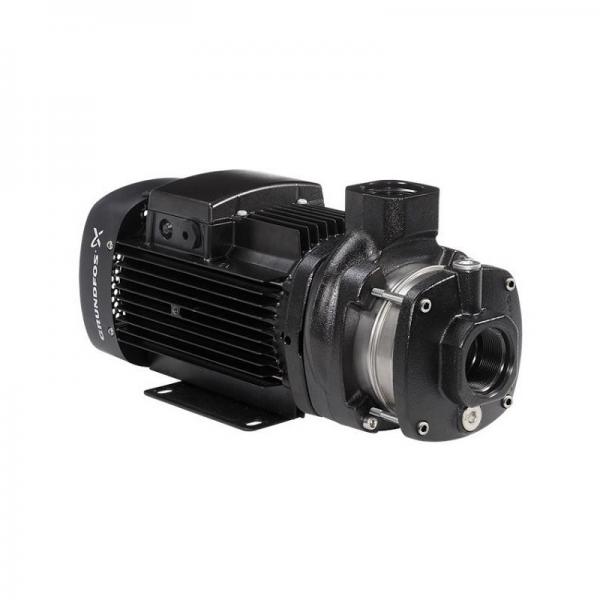 1392383 1914610 3G5810 6E4730 9T7916 7J0590 Hydraulic Double Vane Pump 4525VQ For CAT Loader #1 image